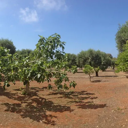 Dimora Malgreva فندق توري فادو